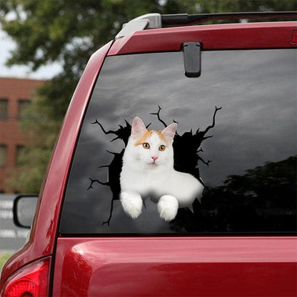 Autocollant pour voiture Cat lover