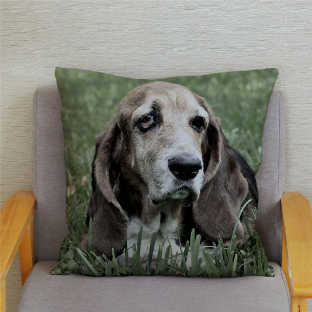 Housse de coussin Basset Hound