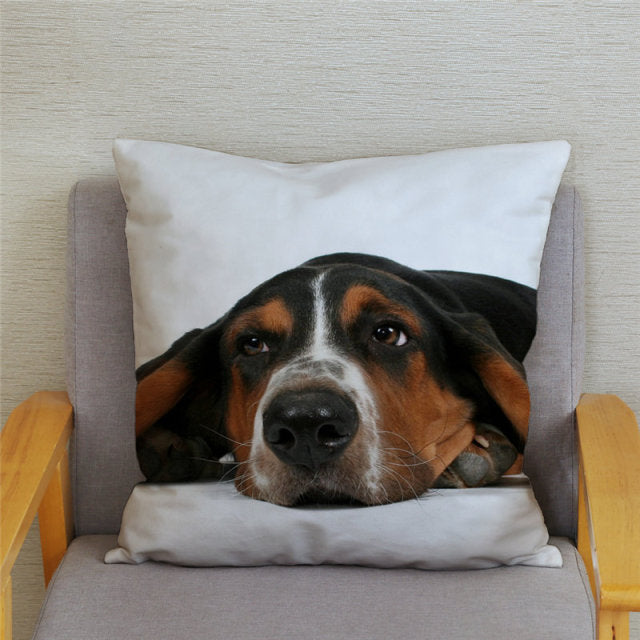 Housse de coussin Basset Hound