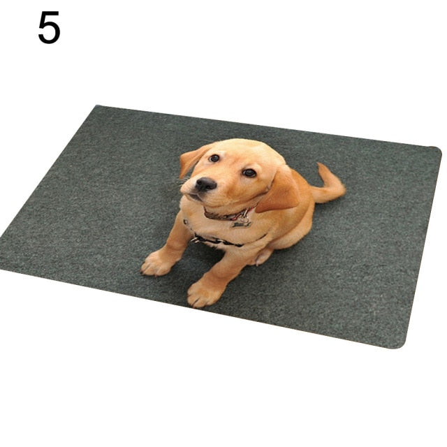 Tapis d'entrée avec Chien