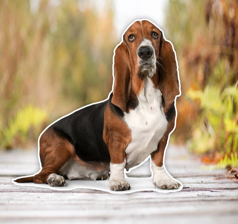 Autocollant voiture Basset Hound II