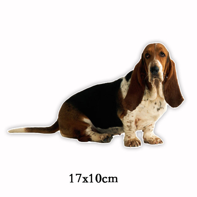 Autocollant voiture Basset Hound II