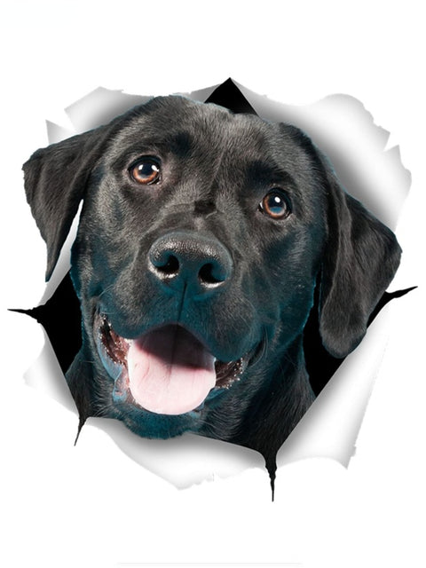 Black Lab Car Sticker