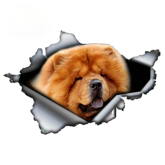 Autocollant voiture Chow Chow
